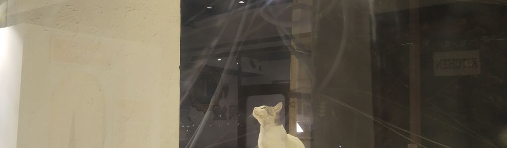 Profile Hero Background