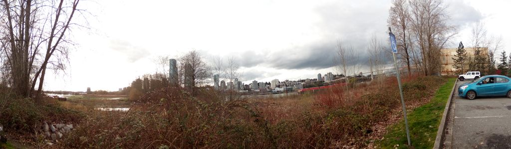 Profile Hero Background