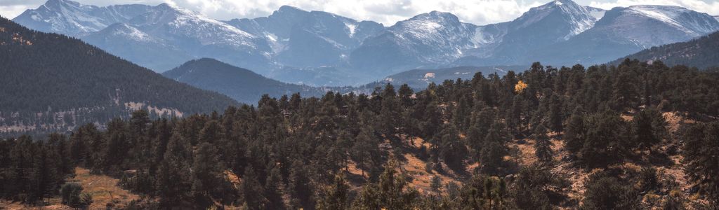 Profile Hero Background