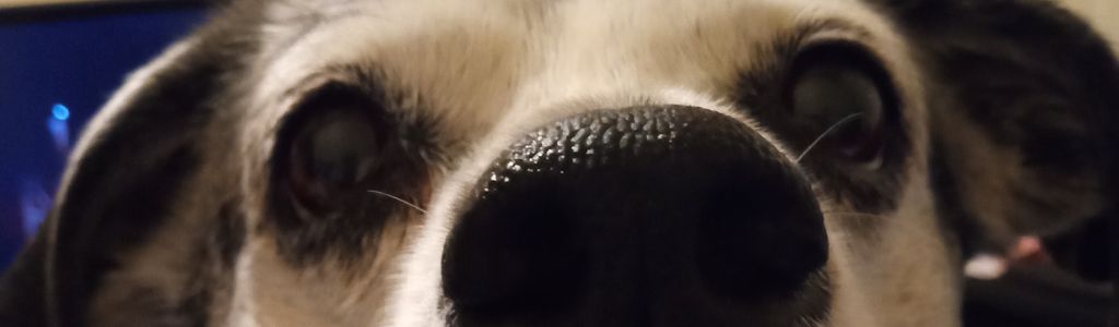 Profile Hero Background