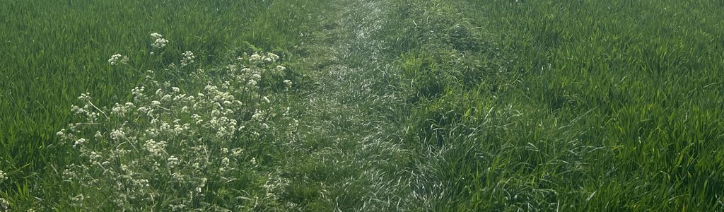 Profile Hero Background