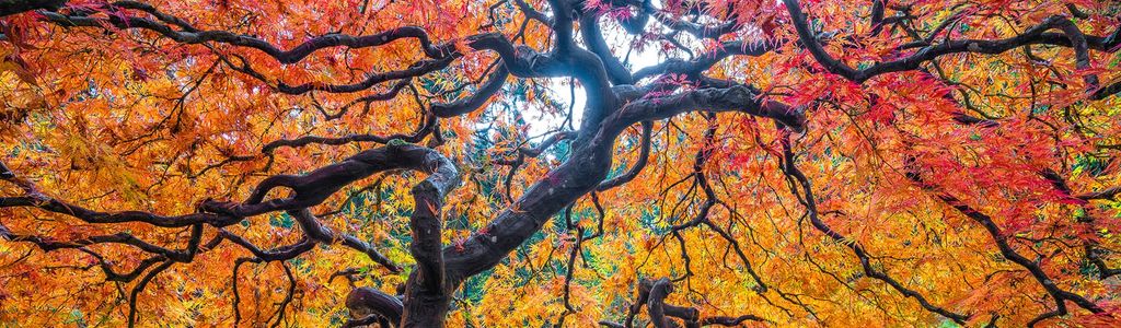 Profile Hero Background