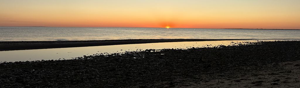 Profile Hero Background