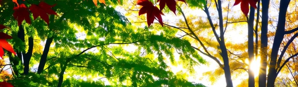 Profile Hero Background