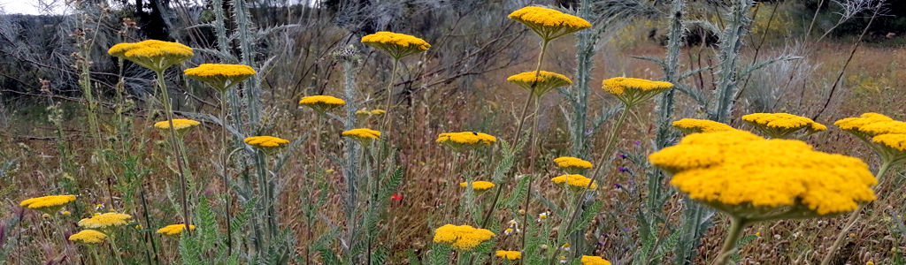 Profile Hero Background