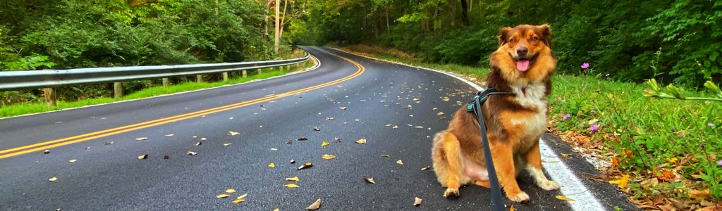 Profile Hero Background