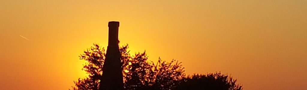 Profile Hero Background