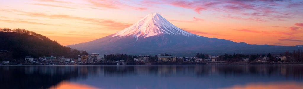 Profile Hero Background