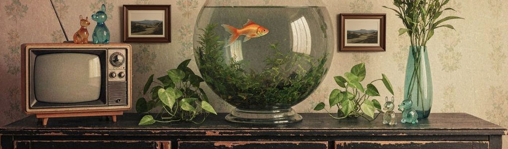 Profile Hero Background