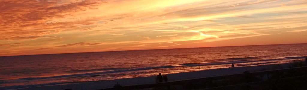 Profile Hero Background