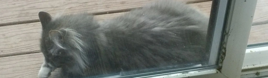 Profile Hero Background