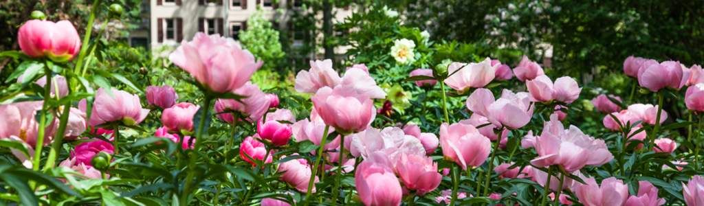 Profile Hero Background