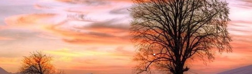 Profile Hero Background