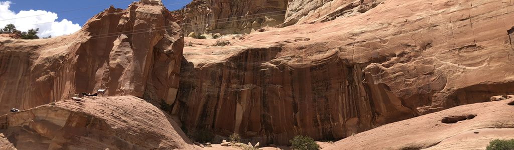 Profile Hero Background