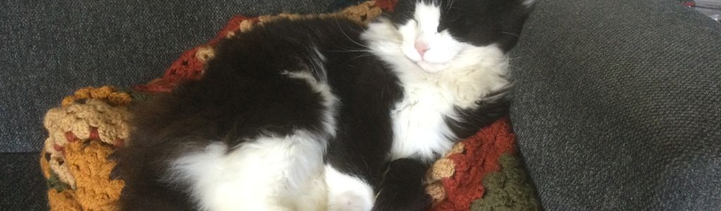 Profile Hero Background