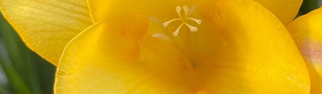 Profile Hero Background