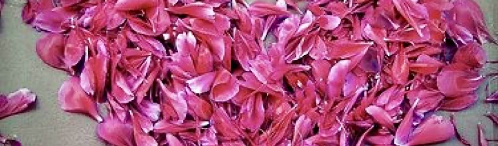 Profile Hero Background