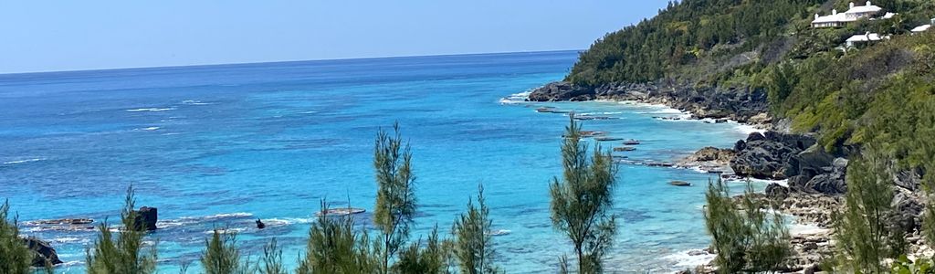 Profile Hero Background