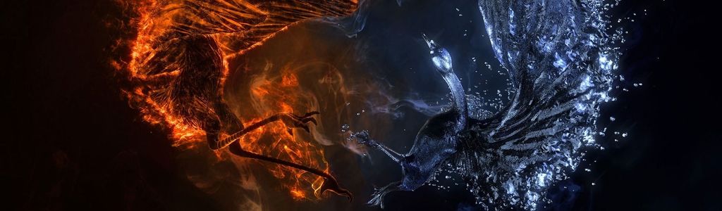 Profile Hero Background