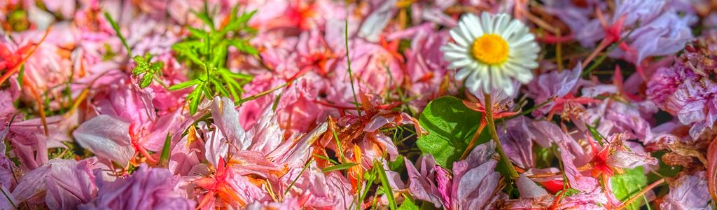 Profile Hero Background