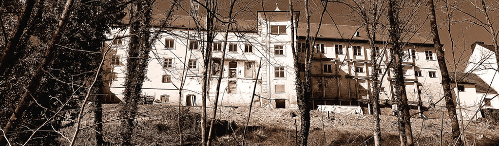 Profile Hero Background