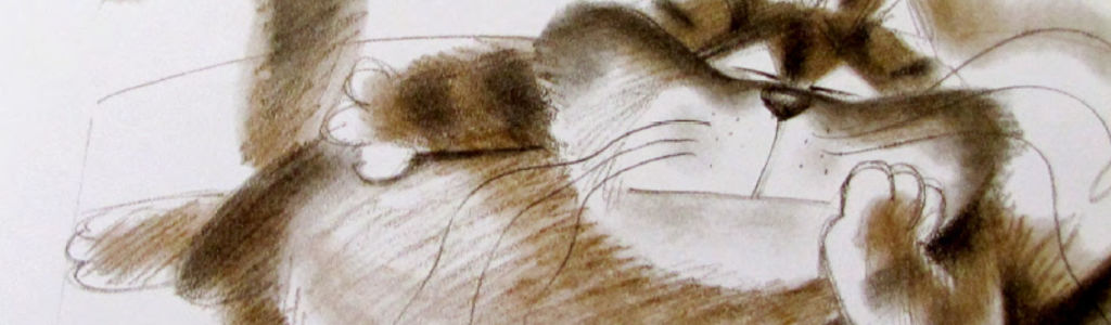 Profile Hero Background