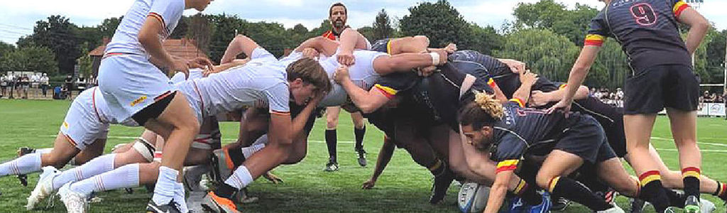 Profile Hero Background