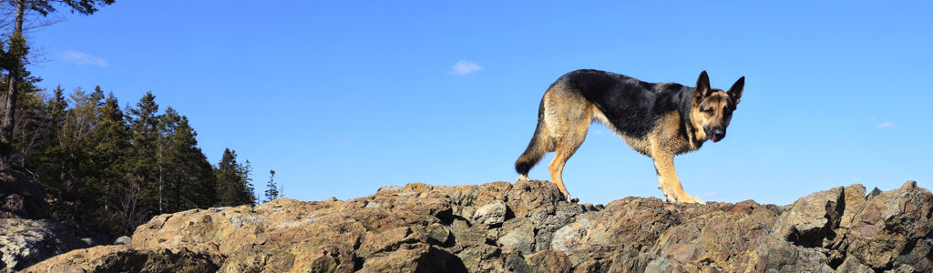 Profile Hero Background