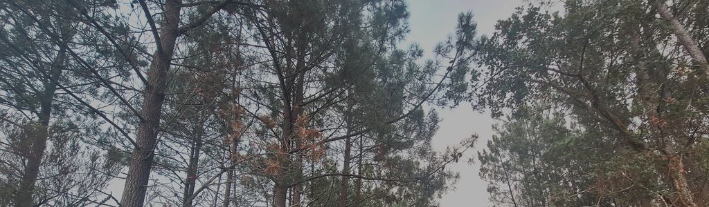 Profile Hero Background