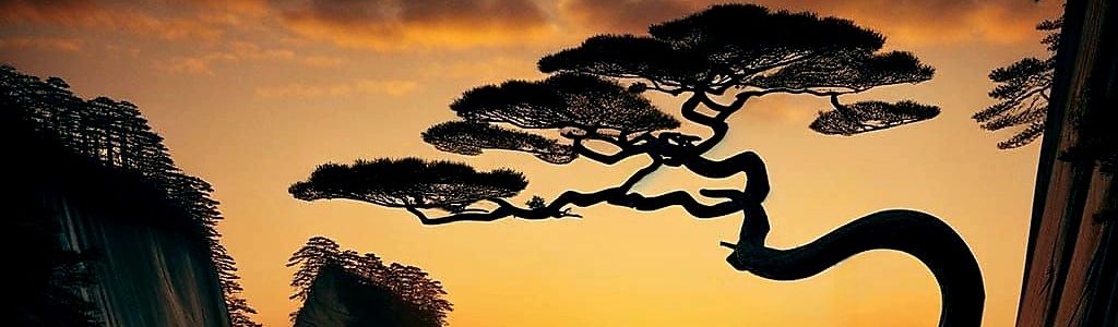 Profile Hero Background