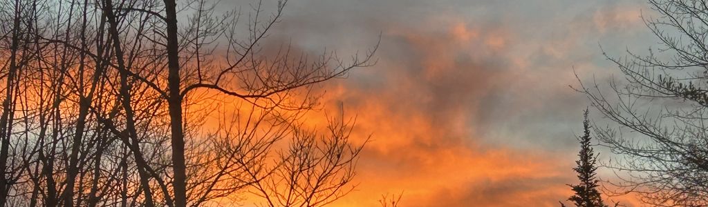 Profile Hero Background