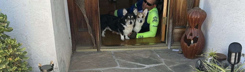 Profile Hero Background