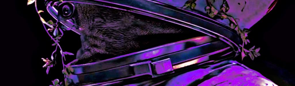 Profile Hero Background