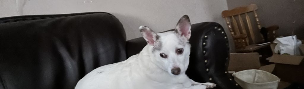 Profile Hero Background