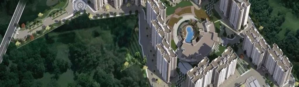 Profile Hero Background