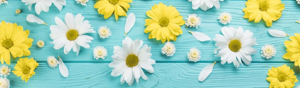 Profile Hero Background