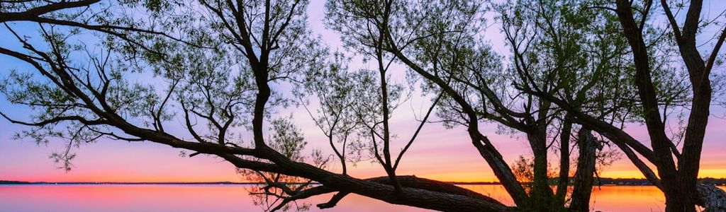 Profile Hero Background