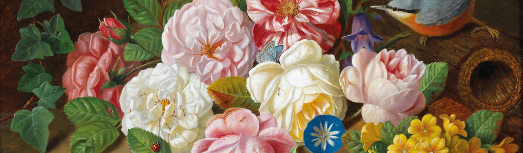 Profile Hero Background