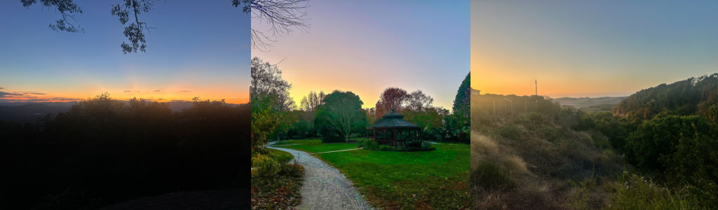 Profile Hero Background