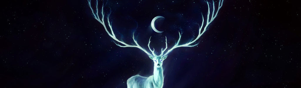 Profile Hero Background