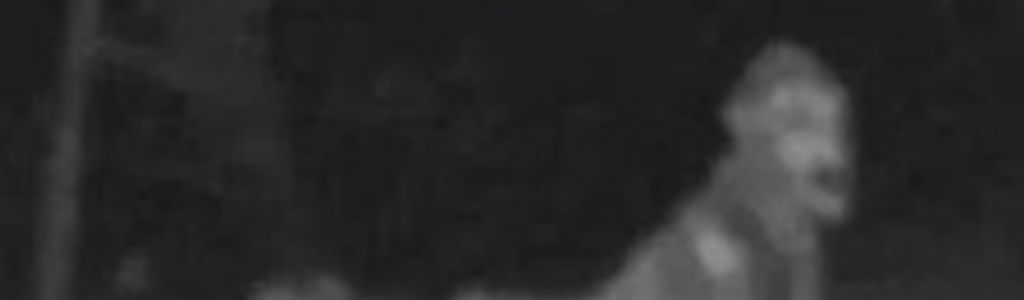 Profile Hero Background