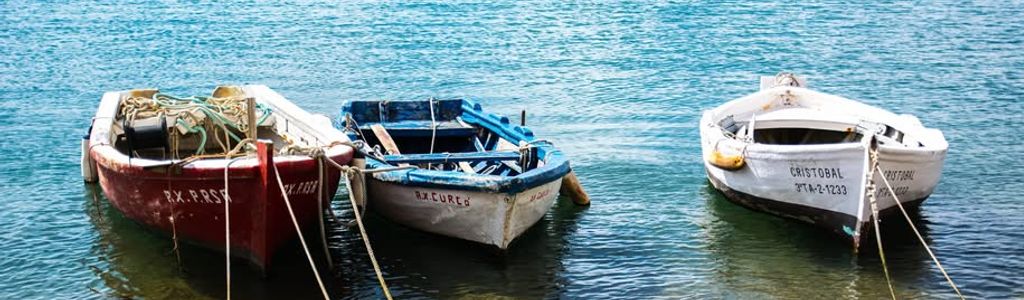 Profile Hero Background