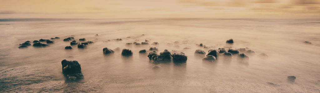 Profile Hero Background