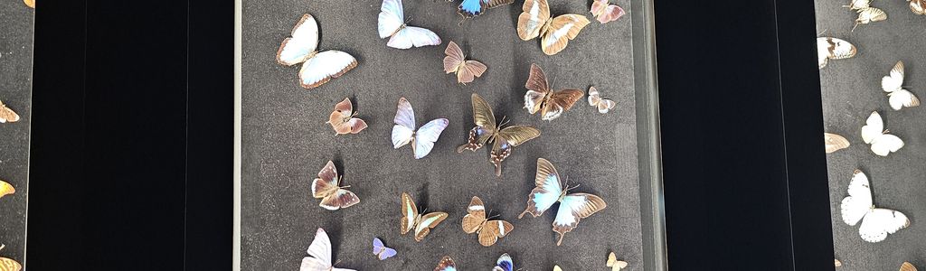 Profile Hero Background