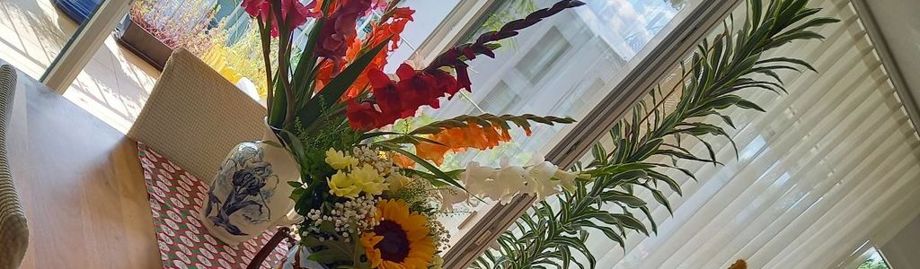 Profile Hero Background