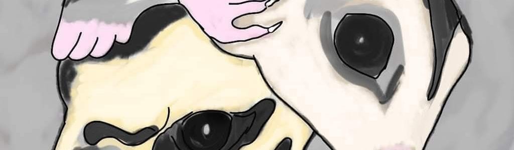 Profile Hero Background