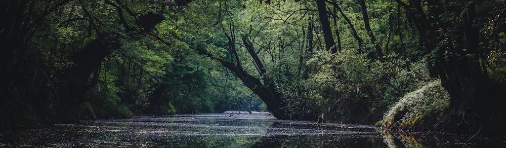 Profile Hero Background