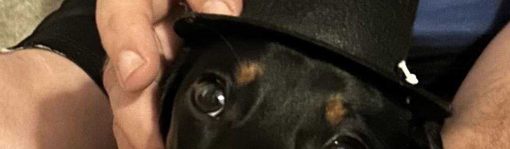 Profile Hero Background