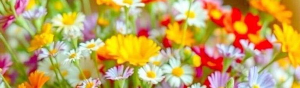 Profile Hero Background