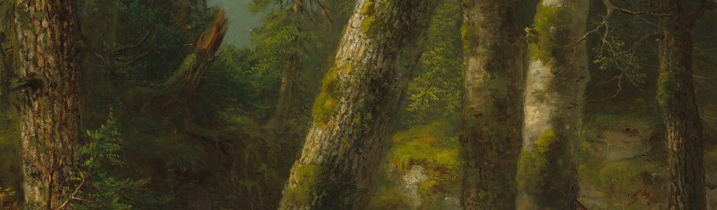 Profile Hero Background